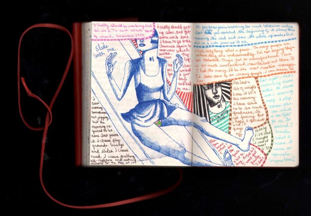 diary november 27 2011