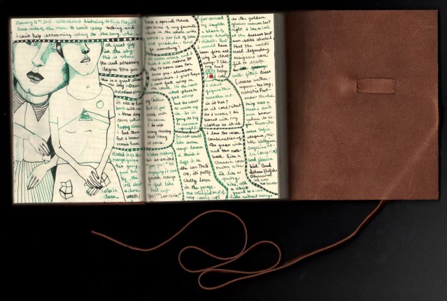 diary january 16 2012