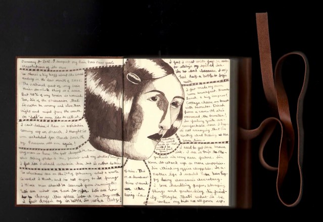 diary january 2 2012