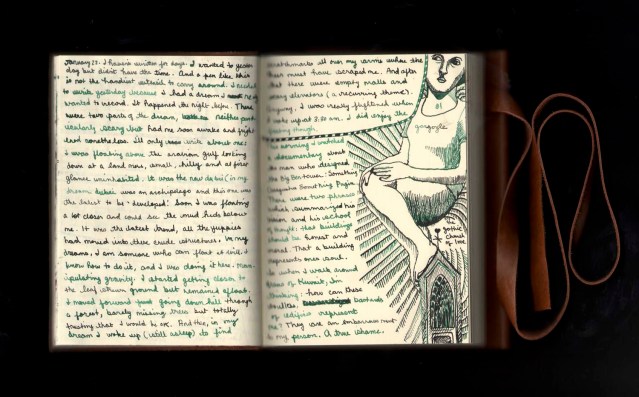 diary january 22 2012