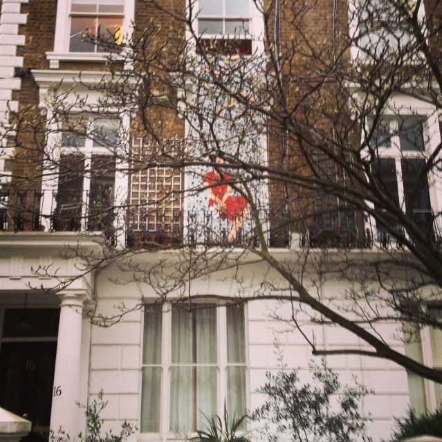 peeping through the magnolia