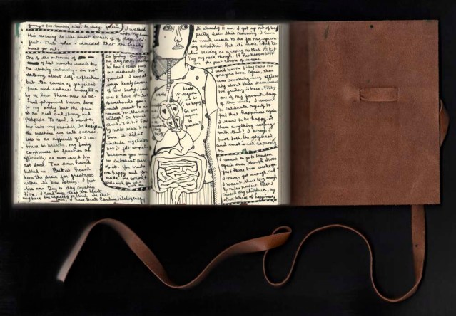 diary january 11 2012