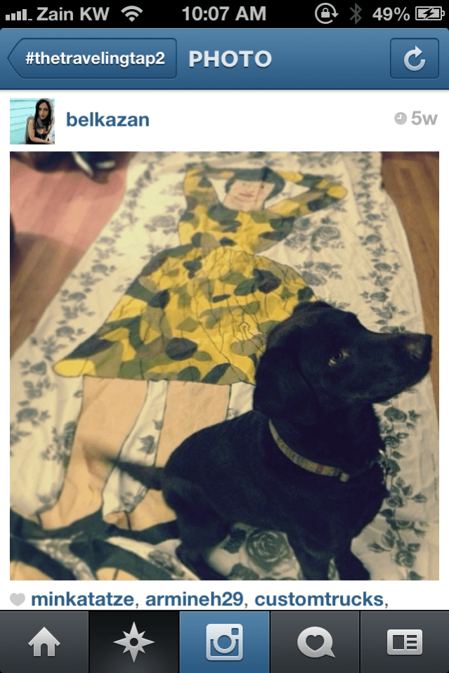 bailey the dog in california