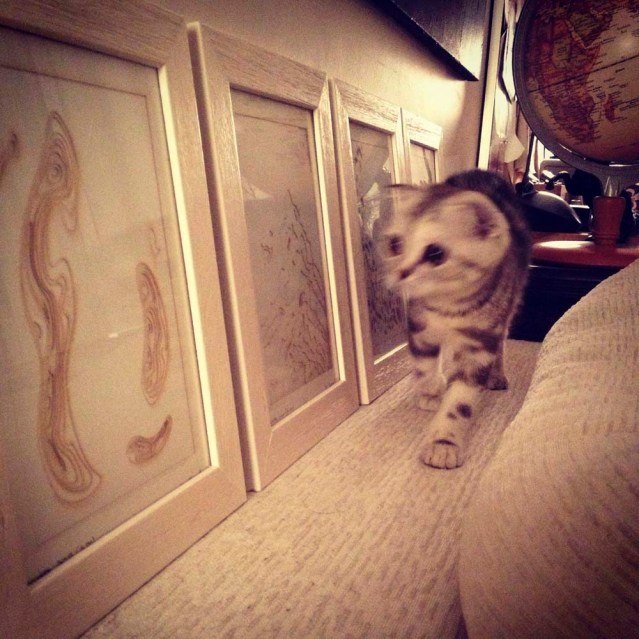 tuna perusing the works of thomas modeen