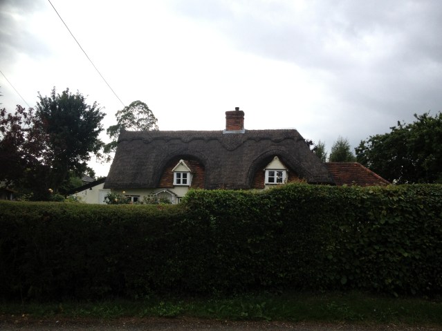 peekaboo house with a lovely thatched roof