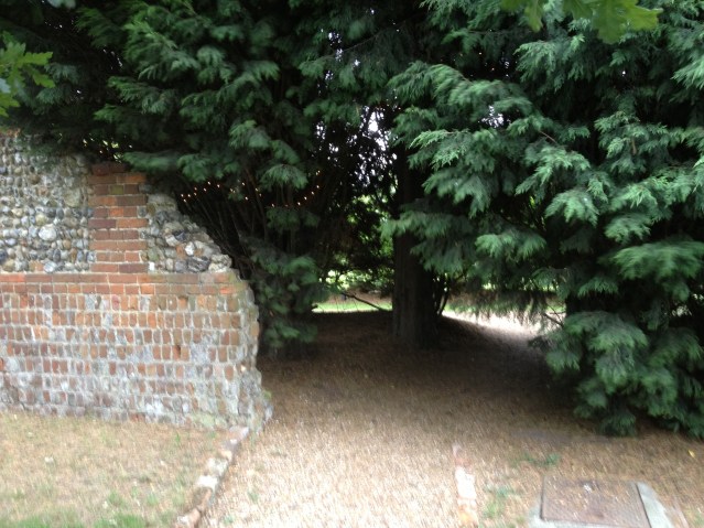 a path into the 'parking' area. there's a note on this tree that warns pet owners to keep them leashed as there have been badgers around. i like that it specifically states that zuzi sees one crossing the field every night at 8:30. how british of the badger!