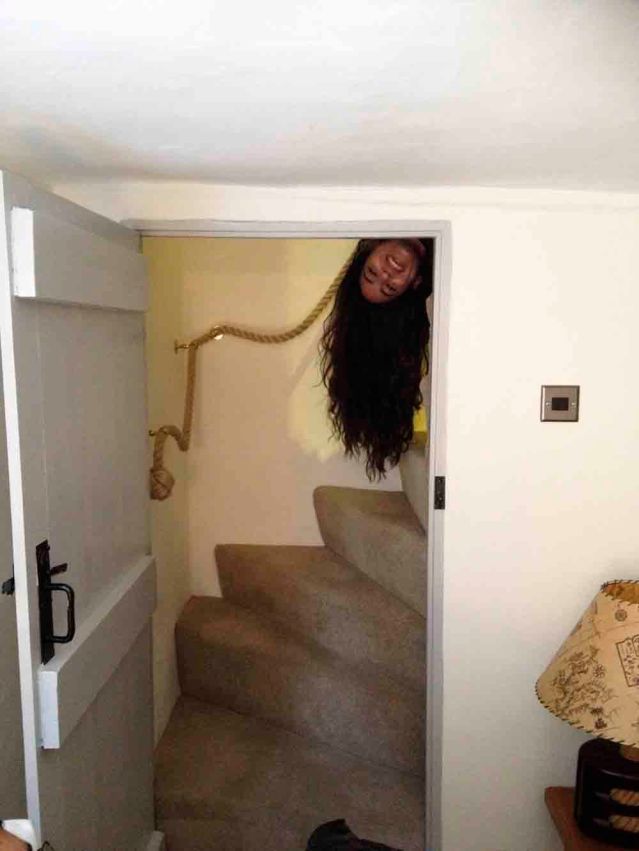 we are a family of silly gooses. but, we like a good laugh and will go out of our way to get one