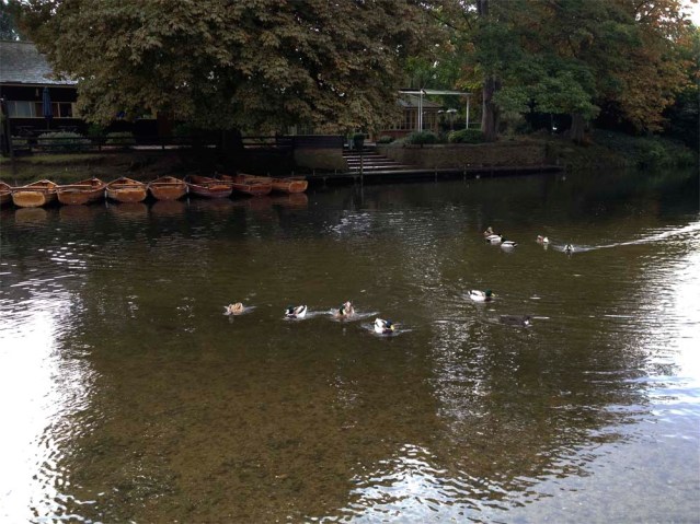 the boats, the boats