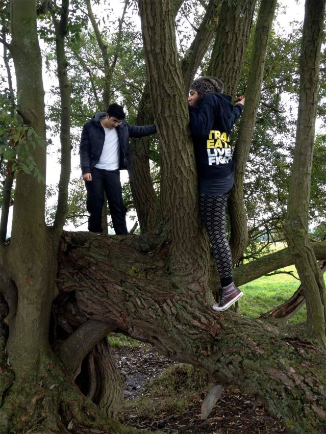 yasmine got stuck in this tree...