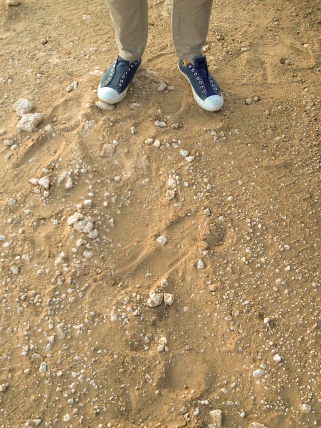 we arrive at the mutla ridge. i'm so happy we managed to find a spot that i had in mind for the shoot