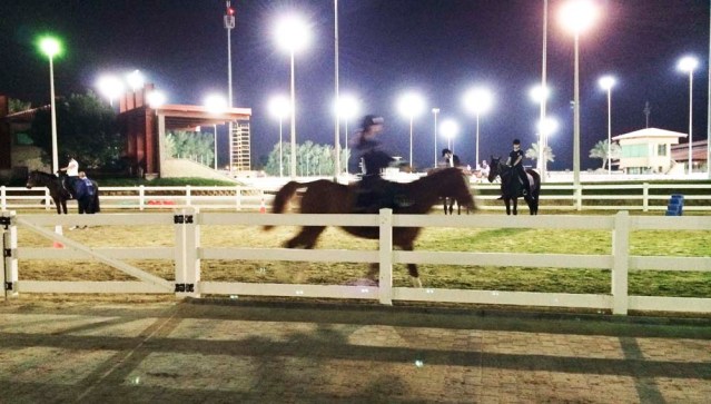 zainab and honey in canter