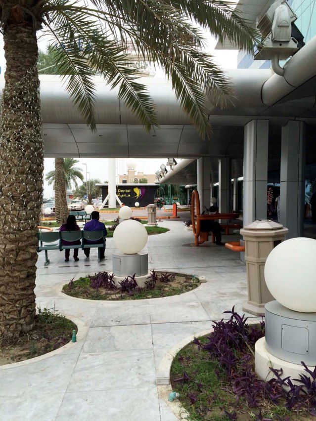 earlier this week on my way to the hospital i saw these two in their matching purple tops