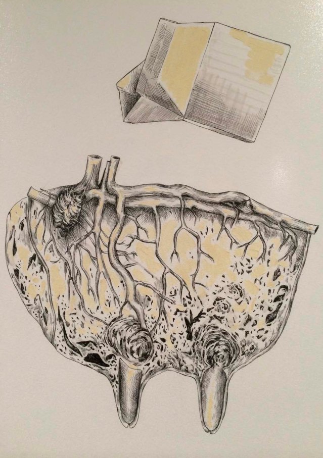 i'm a sucker for milk cartons. and udders. and milk.