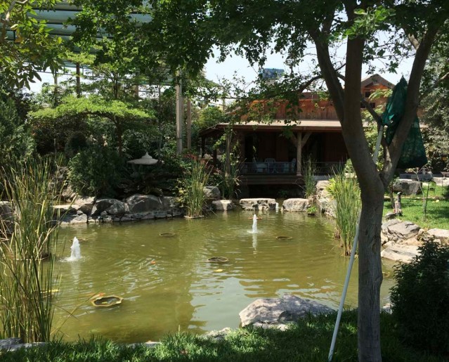 the lodge and koi pond