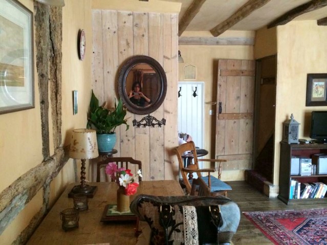 good bye, old monkey