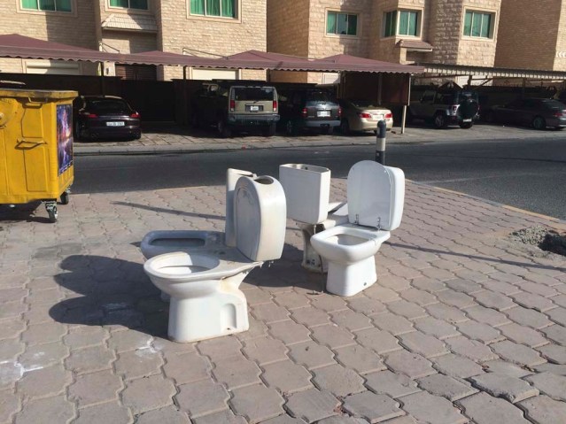 my titular toilets