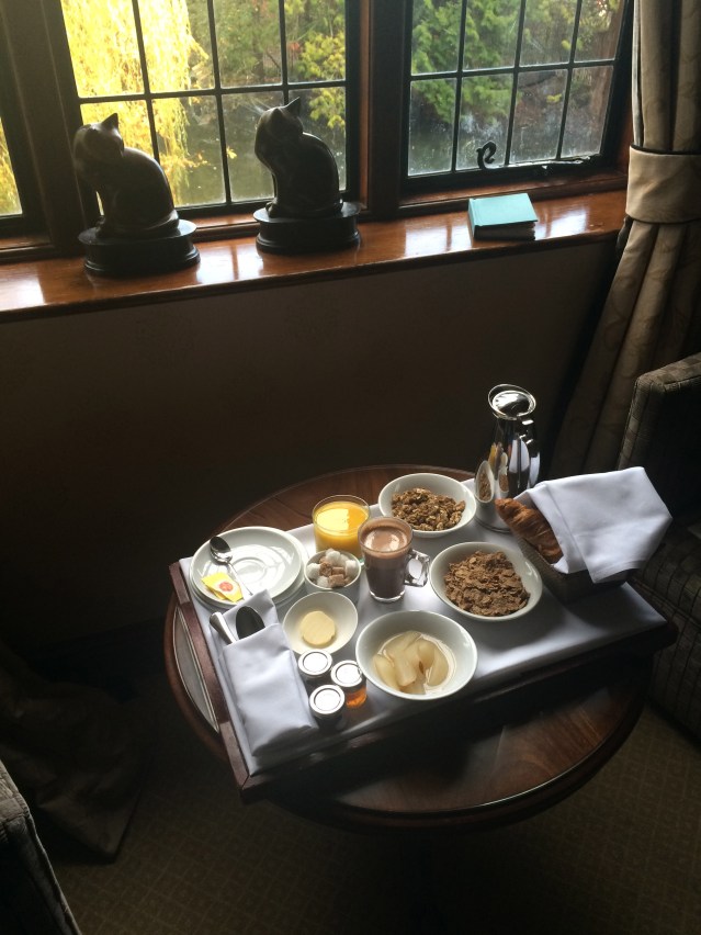 so in love with my breakfast. here the cats look down at my tray in envy