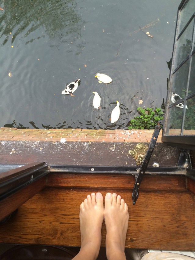 the rest of my breakfast is fed to the ducks and geese