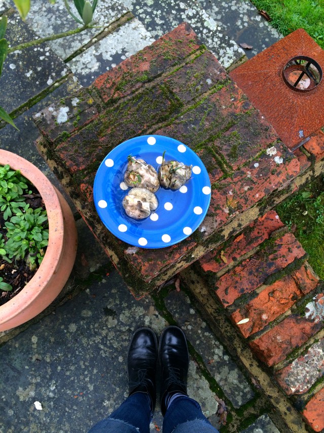 i love that this property was dotted by the couple who lives there's children's projects and toys