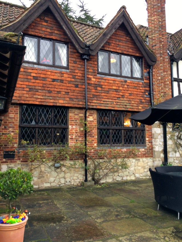 on the slippery patio looking in