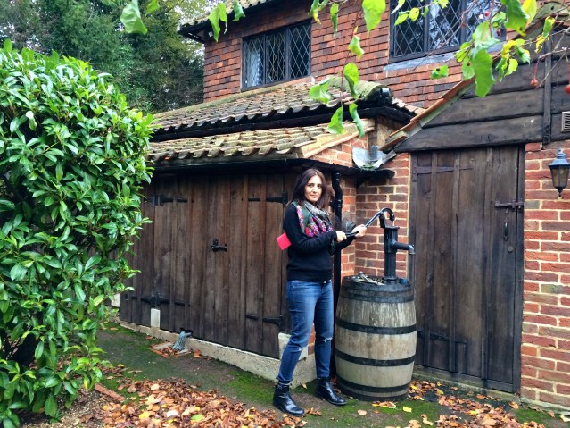 i've always wanted to do this. so many fun gizmos in the massive garden