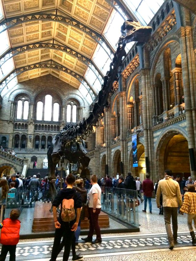 a brontosaurus. i love this museum and i love the building itself