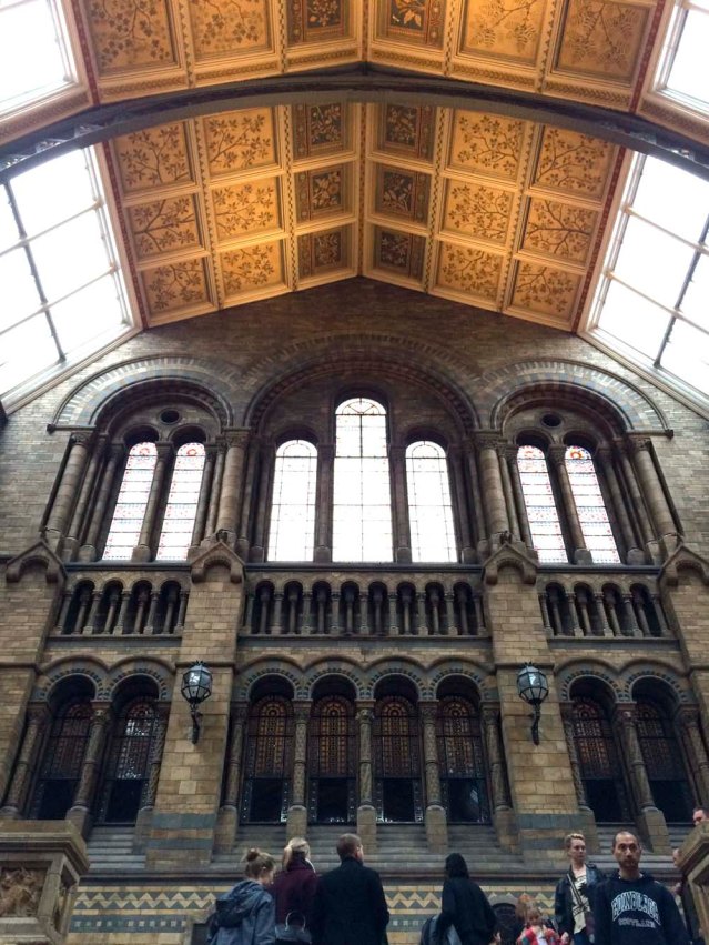i love this ceiling and these windows and these arches