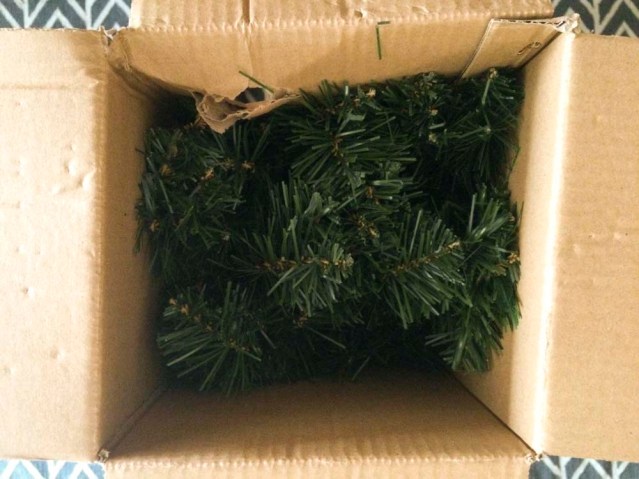 tree in a box