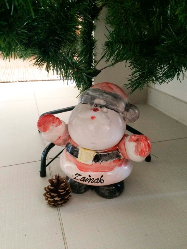 i found this guy in the kitchen and brought him out