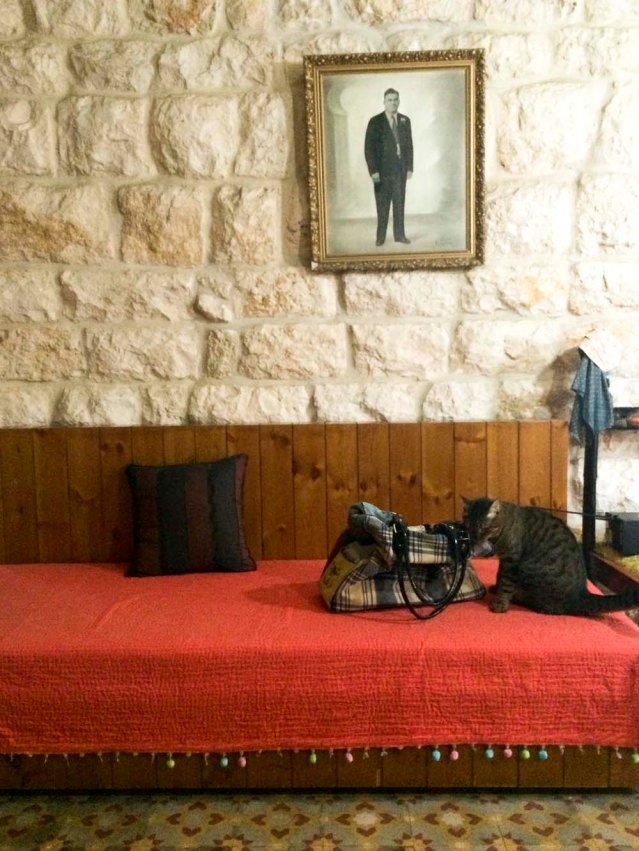 who is curious about my bag