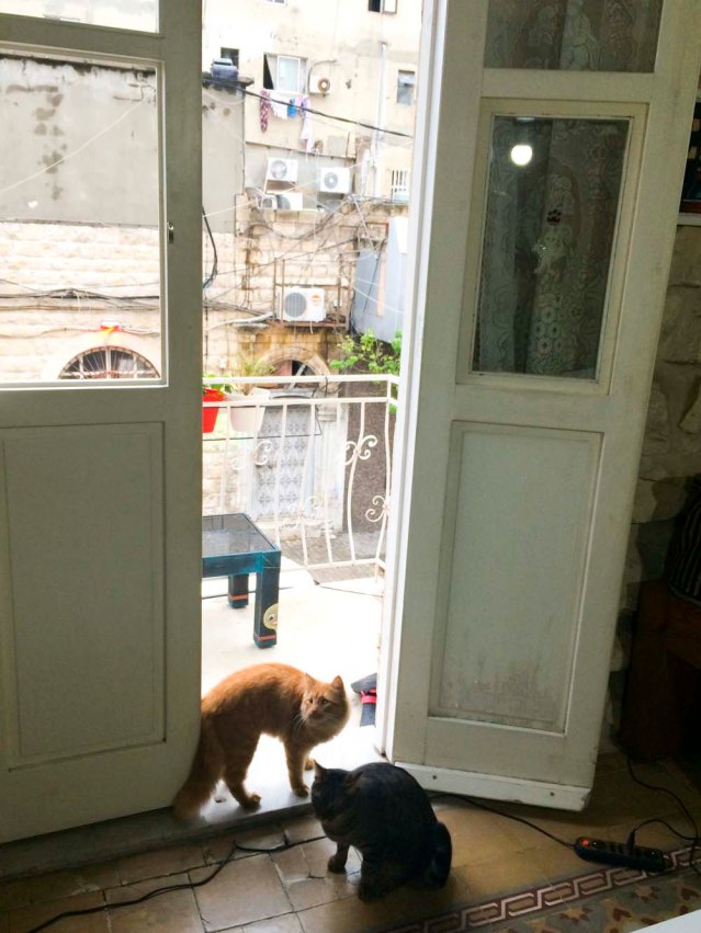 chopicom, hoss and a tiny alien