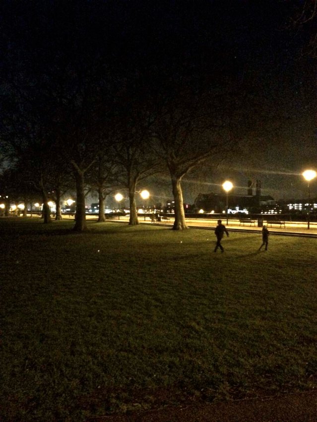 the island gardens. it was biting cold that night