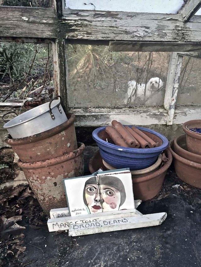 in one of the three derelict greenhouses