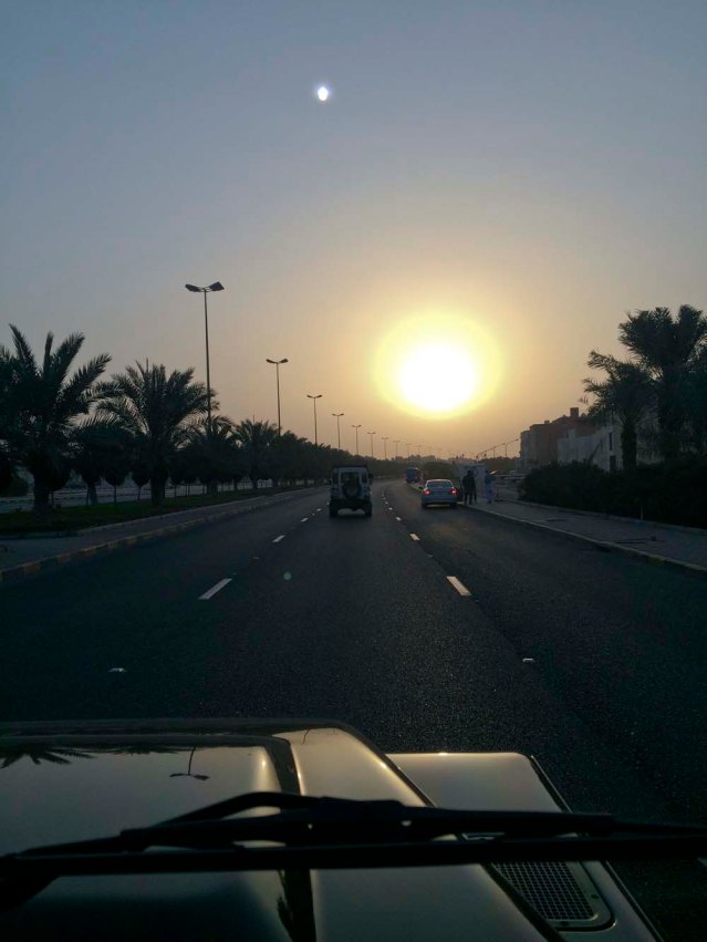 no time to lose, we're up bright and early the next day to join my brother mo and his dogs iber and teton for a photo shoot