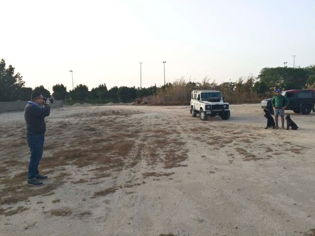 his dogs are the best models