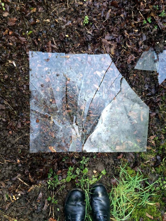 this is what happens when you don't look where you're going