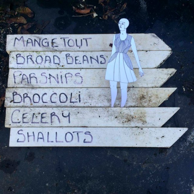 which way to mange tout?