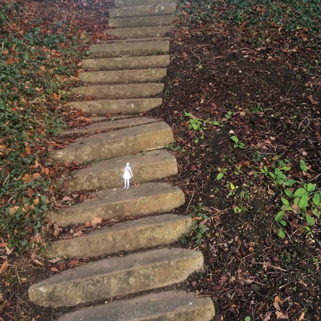 halfway up or halfway down?