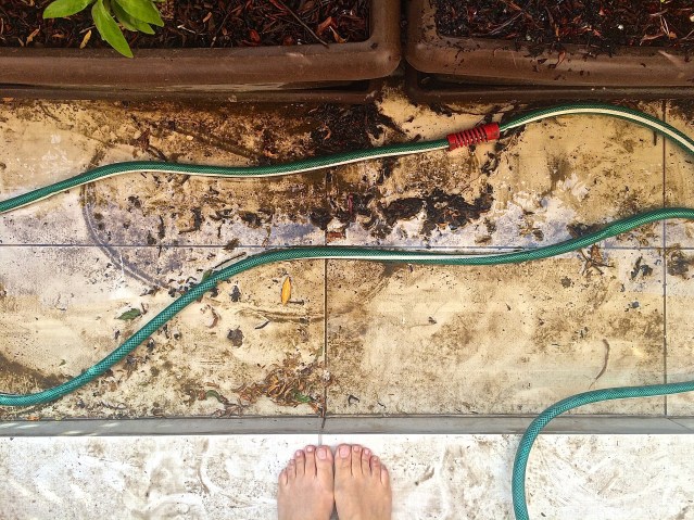 'dinah won't you blow'. in kindergarten there was a girl in my class named veronica. every day before leaving for our buses she would ask ms. penny if she could sing 'i've been working on the railroad'. this reminded me of that