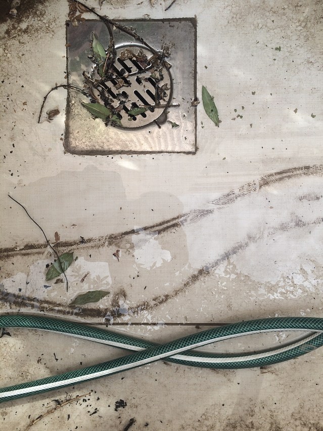 i took two of these and preferred the one with the drain off center. i love the movement in this shot. i don' think my hose was destined to be a hose at all