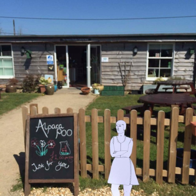 so she thinks: yes! alpaca farm!