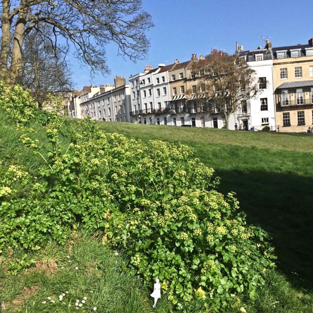 so quaint. it's times like this she wishes she were full size