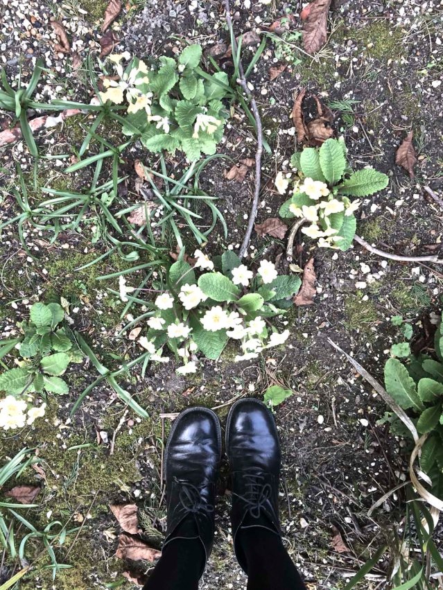 the garden's in bloom. the last time i was here, this garden was covered in frost