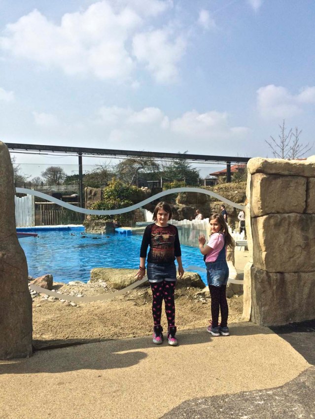 a spontaneous decision to visit the chessington world of adventures