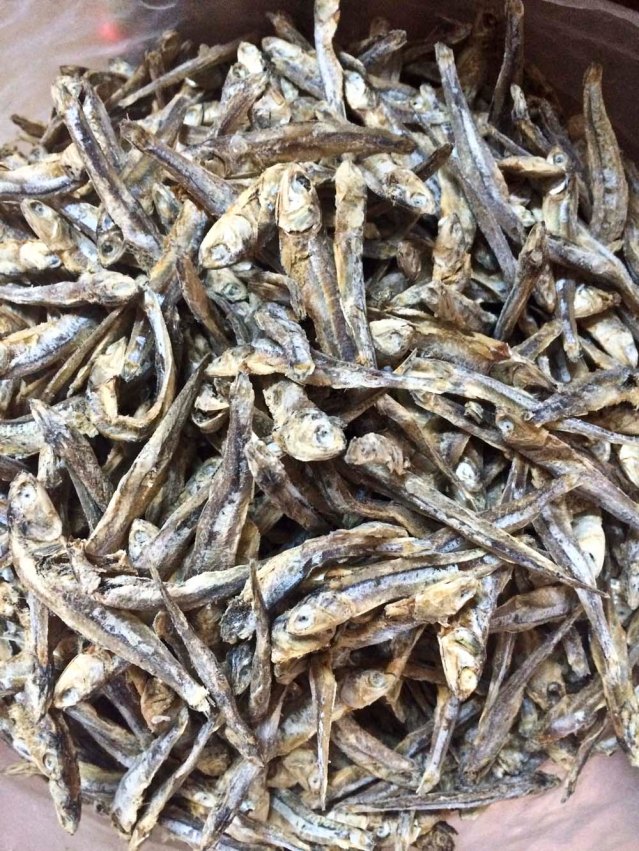 i thought these were grasshoppers, but they're not