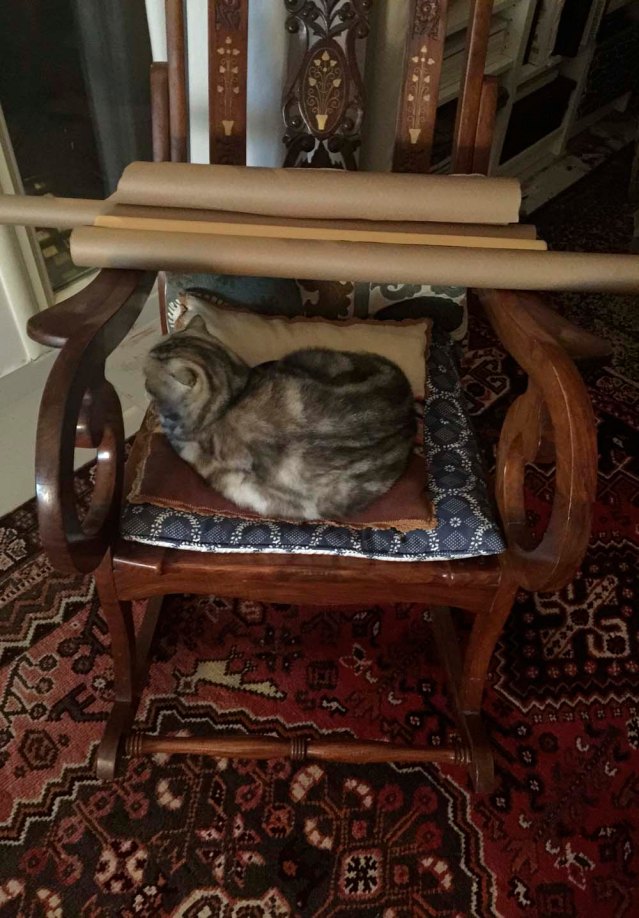 and this is tuna. i babysat her once before, two summers ago. here she's taken over yousef's rocking chair
