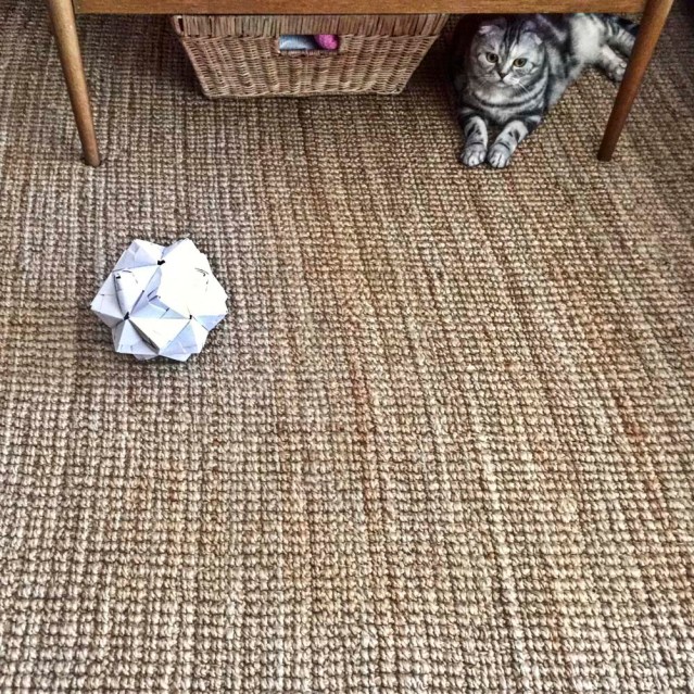 and eyeing my origami