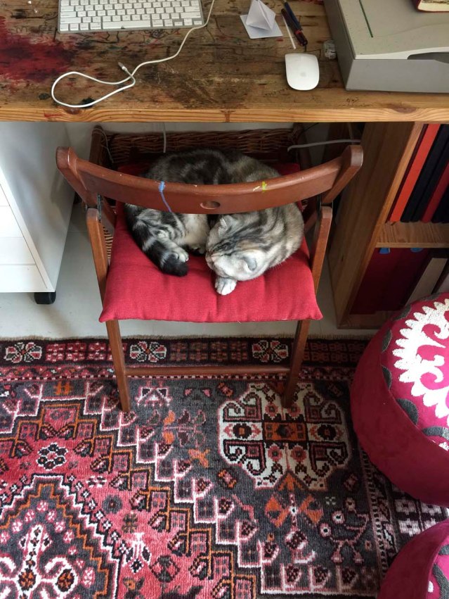 i later found her in my seat and didn't have the heart to wake her