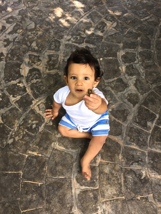 everything's a 'ball' according to him. even i am a 'ball'