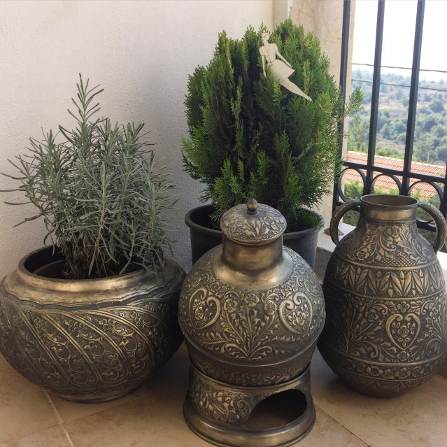 eve enjoys the lebanese treetops. it's midday now. we'll probably go out soon. i'm ready for the city, so hope to go back down to beirut tomorrow